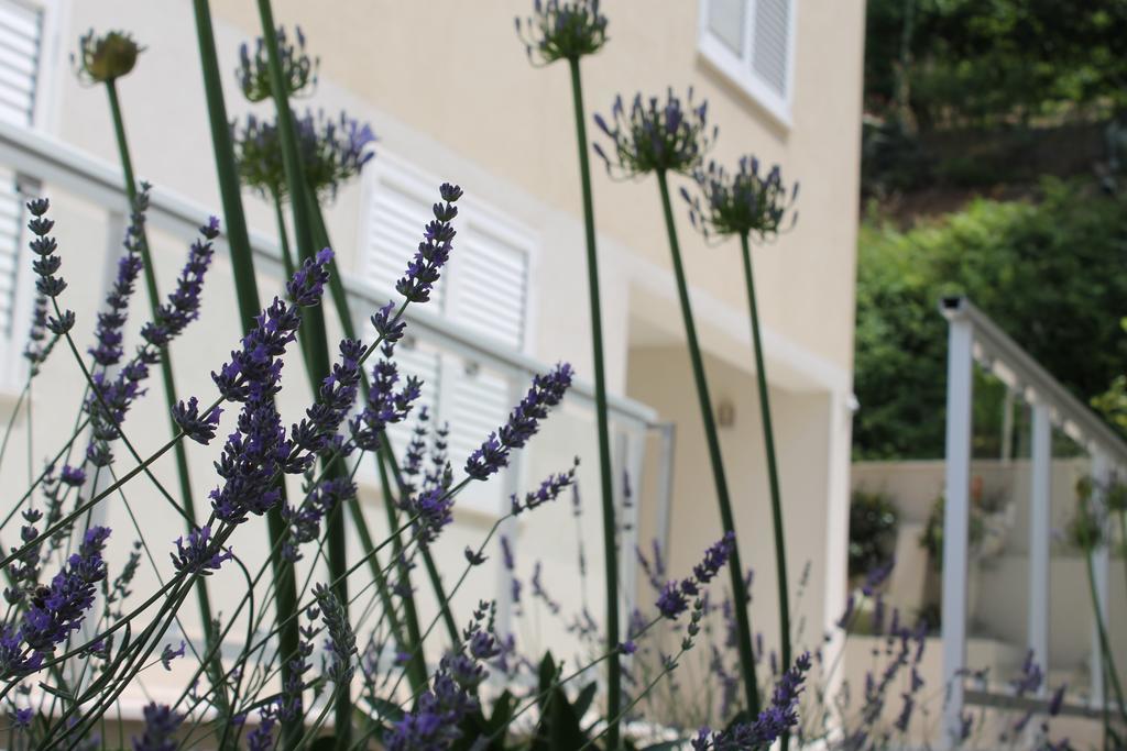 Apartments Lavanda Будва Экстерьер фото